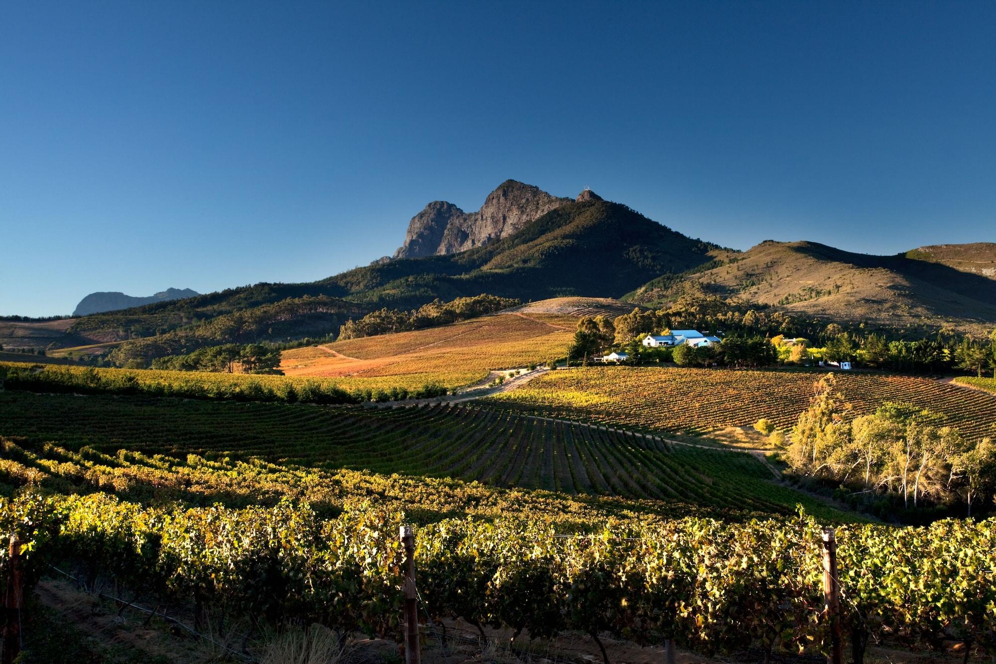 Alojamento de Acomodação e Pequeno-almoço Marianne Wine Estate