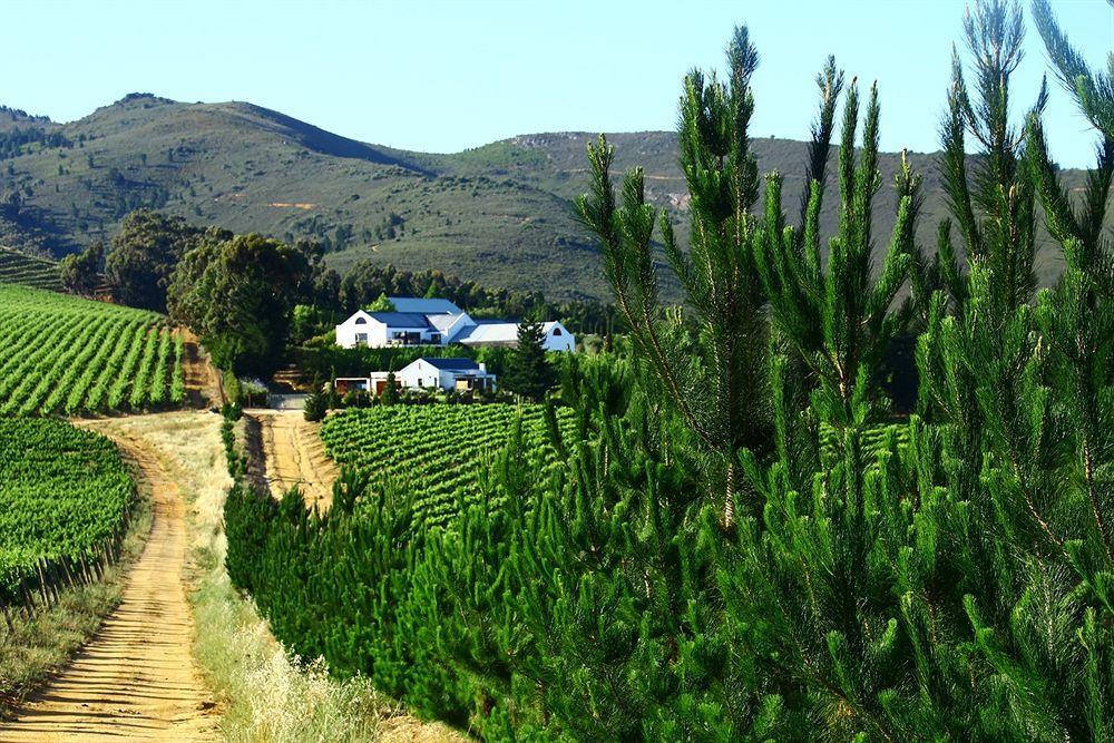 Alojamento de Acomodação e Pequeno-almoço Marianne Wine Estate Klapmuts