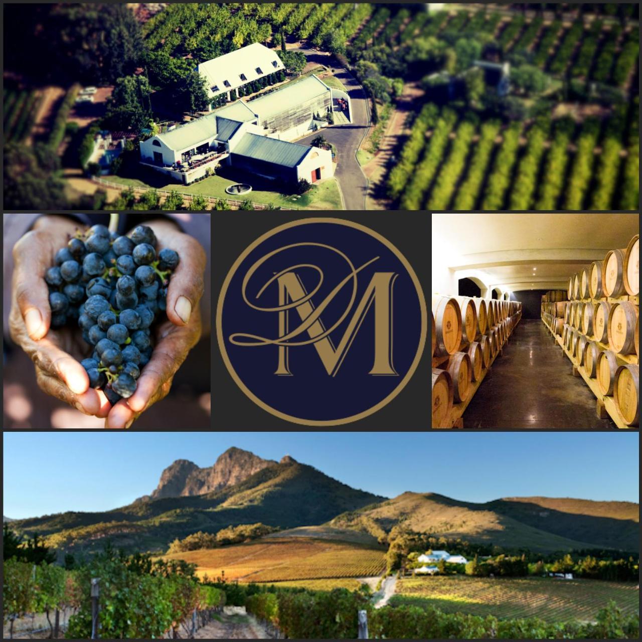 Alojamento de Acomodação e Pequeno-almoço Marianne Wine Estate Klapmuts