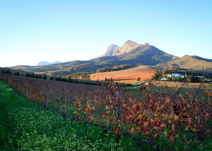 Marianne Wine Estate